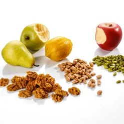 Angebissener Grüner Apfel-Lebensmittel-Attrappe 7,5 Cm Ø