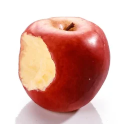 Angebissener Roter Apfel-Lebensmittel-Attrappe 7,5 Cm Ø