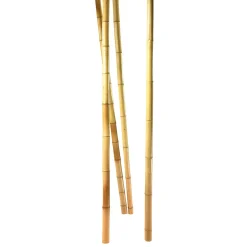 Bambusstangen Natur, 180 Cm 3 Stück