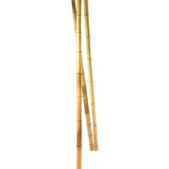 Bambusstangen Natur, 180 Cm 3 Stück