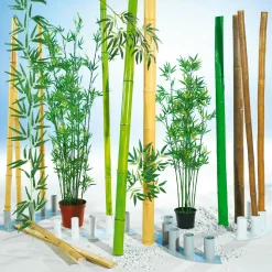 Bambusstangen Natur, 180 Cm 3 Stück