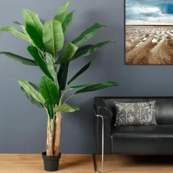 Bananenpflanze 170 Cm