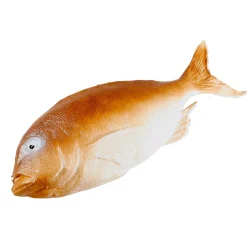 Barsch Lebensmittel-Attrappe 36 Cm