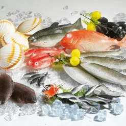 Barsch Lebensmittel-Attrappe 36 Cm