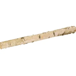 Birkenstamm 100 Cm 6-10 Cm Ø
