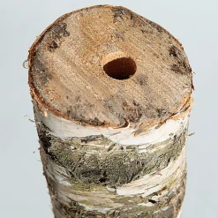 Birkenstamm 100 Cm 6-10 Cm Ø