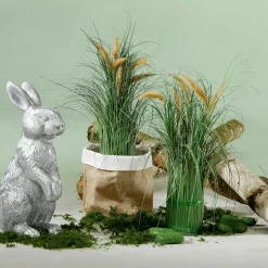 Birkenstamm 100 Cm 6-10 Cm Ø