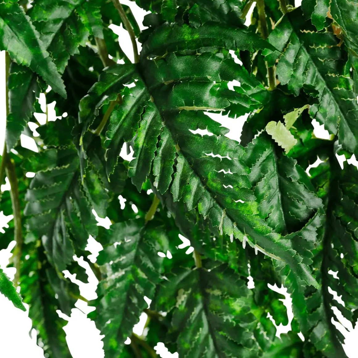 Blüten-Farn-Baum 190cm