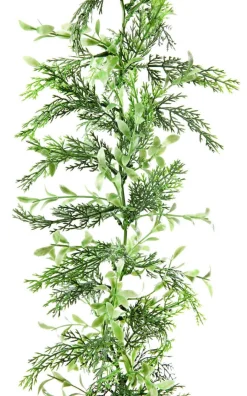 Buchs-Zypressen-Ranke, 170 Cm