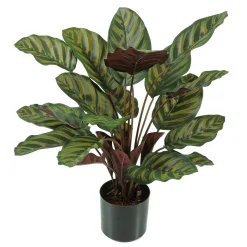 Calathea Kunstpflanze Im Topf Schwer Entflammbar B1