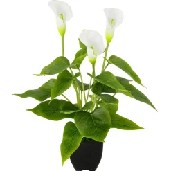 Calla Kunstpflanze Weiß 40 Cm Im Topf