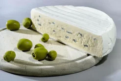 Cambozola Hälfte Lebensmittel-Attrappe 21 Cm