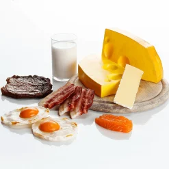 Camembert Käsescheibe Lebensmittel-Attrappe