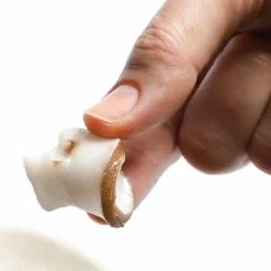 Champignon-Scheiben Lebensmittel-Attrappe, 12 Stück