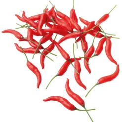 Chili-Schoten Lebensmittel-Attrappe, 36 Stück