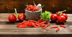 Chili-Schoten Lebensmittel-Attrappe, 36 Stück