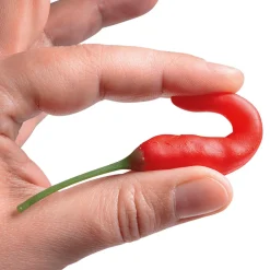 Chili-Schoten Lebensmittel-Attrappe, 36 Stück