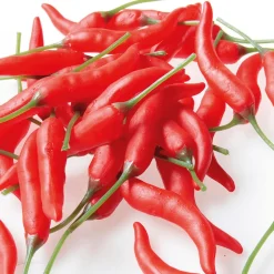 Chili-Schoten Lebensmittel-Attrappe, 36 Stück