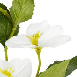 Christrosen, Pack á 3 Stück