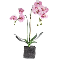 Deko Orchidee Im Topf Rosa 80 Cm