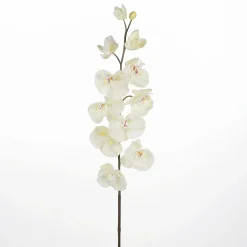Deko Orchideenzweig Weiß 110 Cm