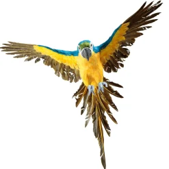Deko Papagei Blau-gelb 77 Cm Lang