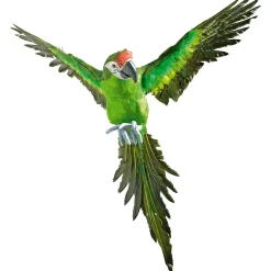 Deko Papagei Grün 77 Cm Lang