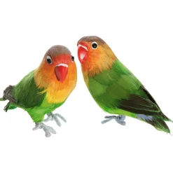 Deko Rosenköpfchen Papagei Sitzend 20 Cm, 2 Stück