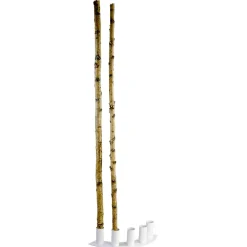 Deko-Birkenstämme 170 Cm, 5 Stück