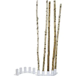 Deko-Birkenstämme 170 Cm, 5 Stück