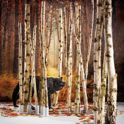 Deko-Birkenstämme 170 Cm, 5 Stück