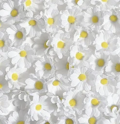 Dekoblüten Margeriten, 72 Stück