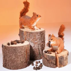 Deko-Eichhörnchen 24 Cm Hoch