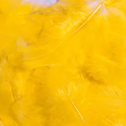 Dekofedern Gelb, 20 G