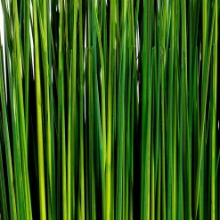 Deko-Gras Bündel 76 Cm