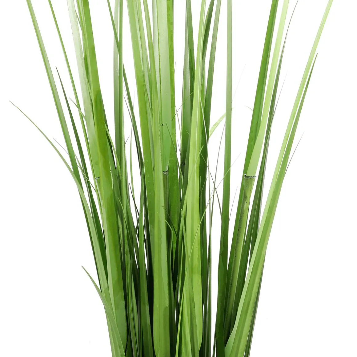 Dekogras-Bund, 150 Cm