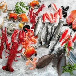 Deko-Jakobsmuscheln, Pack à 4 Stück