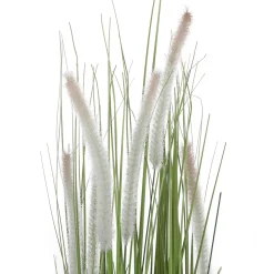 Deko-Lampenputzergras Im Schwarzen Topf B1, 90 Cm