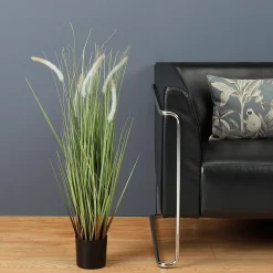 Deko-Lampenputzergras Im Schwarzen Topf B1, 90 Cm