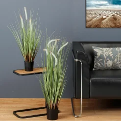 Deko-Lampenputzergras Im Schwarzen Topf B1, 90 Cm