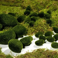 Deko-Moossteine, 6 Stück