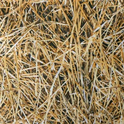 Dekostoff “Stroh“ 150 Cm Breit