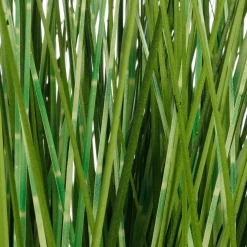 Deko-Zebragras Im Weißen Topf 50 Cm