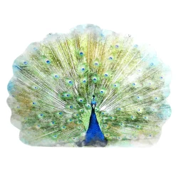 Display-Hänger "Pfau" 62 Cm Hoch