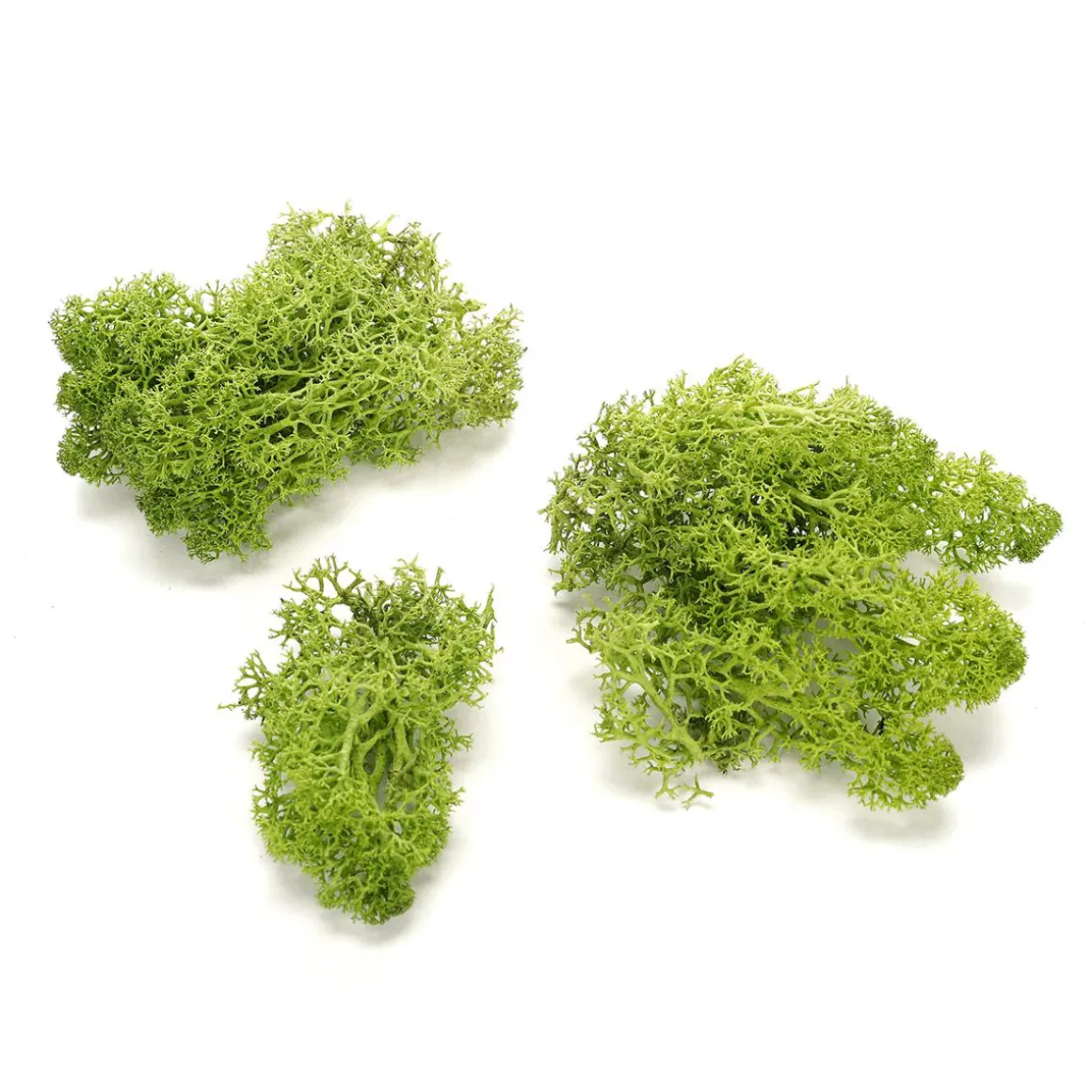 Echtes Naturmoos 500 G