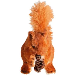 Eichhörnchen, Sitzend