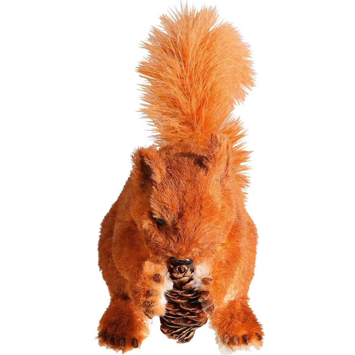 Eichhörnchen, Sitzend