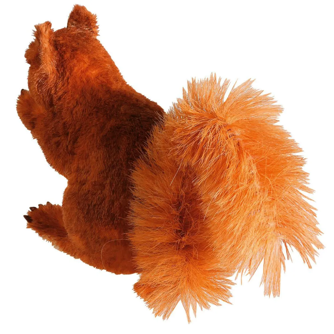 Eichhörnchen, Sitzend