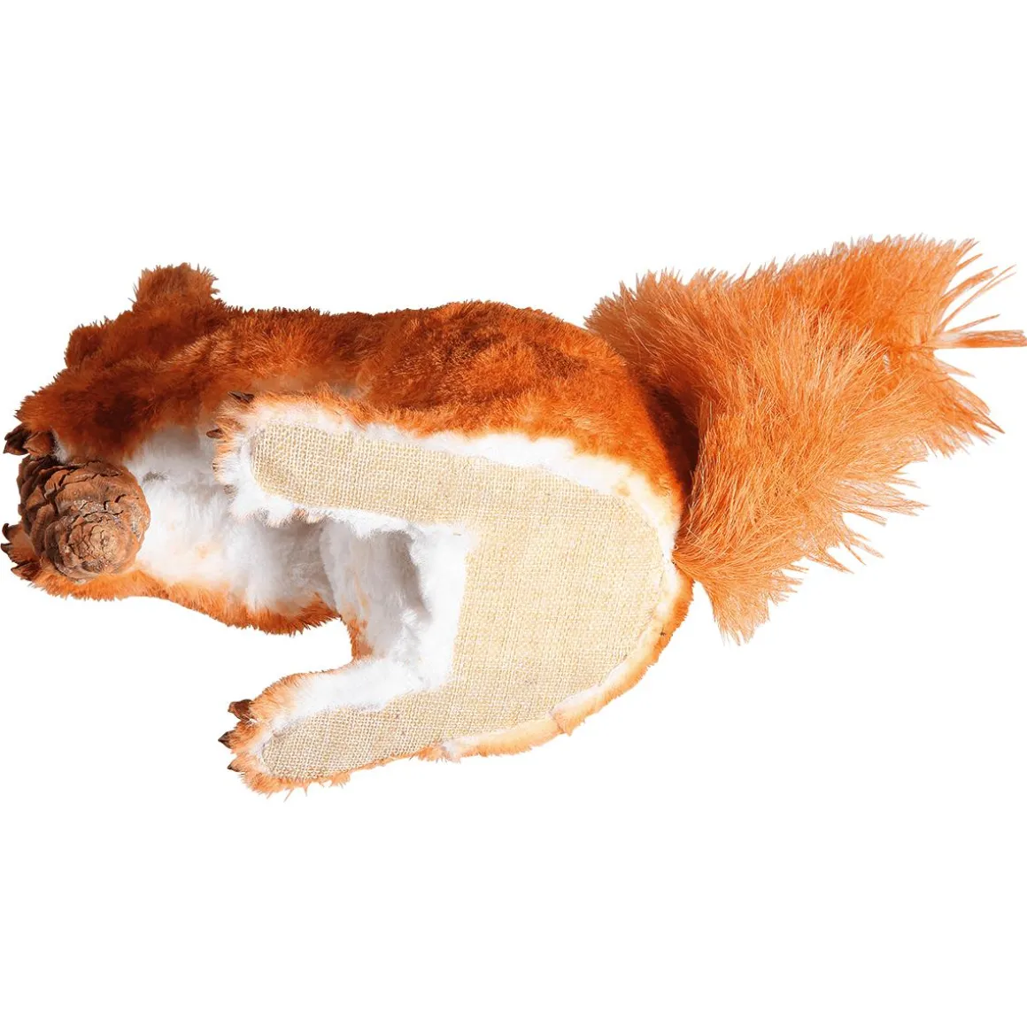 Eichhörnchen, Sitzend