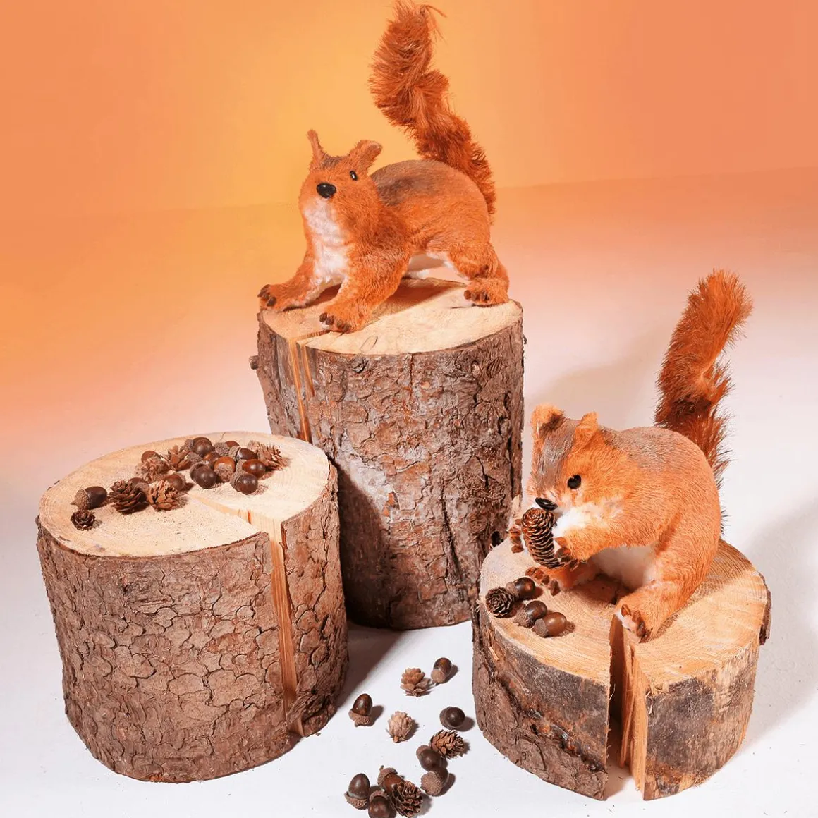 Eichhörnchen, Sitzend